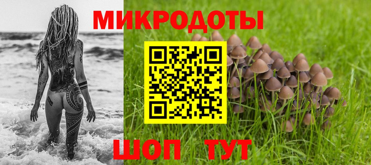 Сланцы  Псилоцибиновые грибы мухоморы  Вход с VPN 